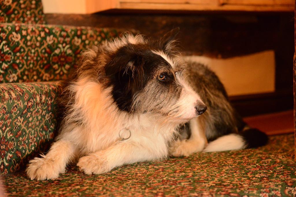 Badgers Hall Chipping Campden Extérieur photo